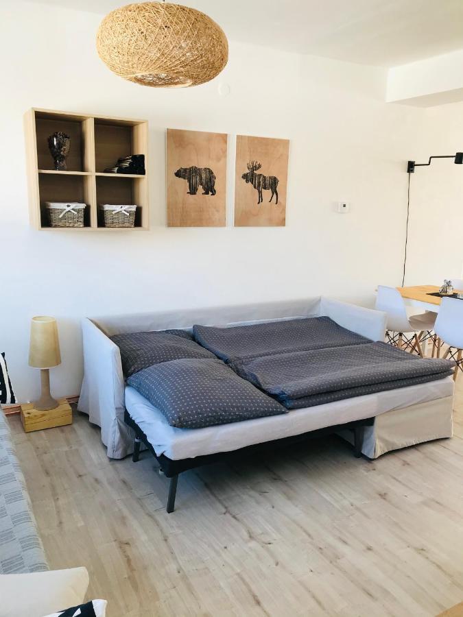 Apartmán Orlické Záhoří Exterior foto